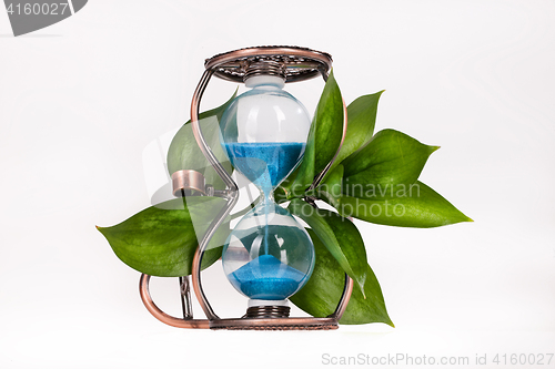Image of Sandglass With Leaves