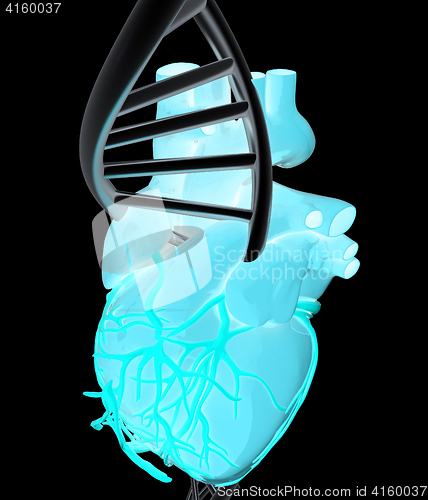 Image of DNA and heart. 3d illustration