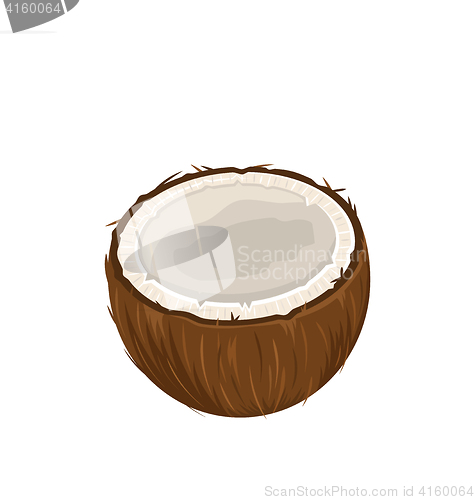 Image of Coconut Fruits Isolated on White Background