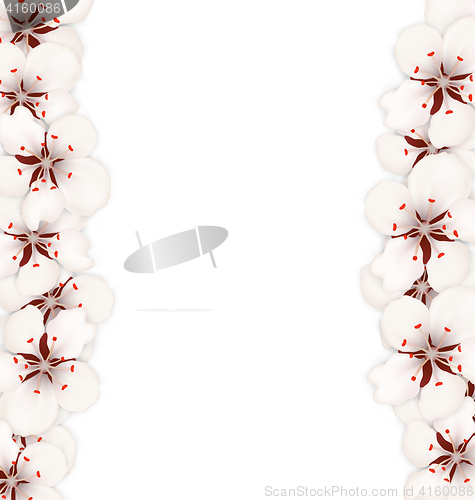 Image of Abstract Border Made in Cherry Blossom