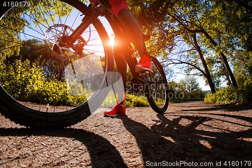 Image of cyclist woman riding a bicycle in park