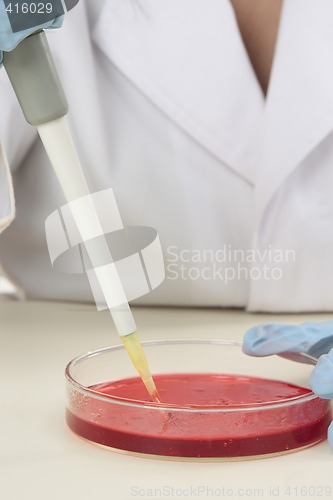 Image of Biological research