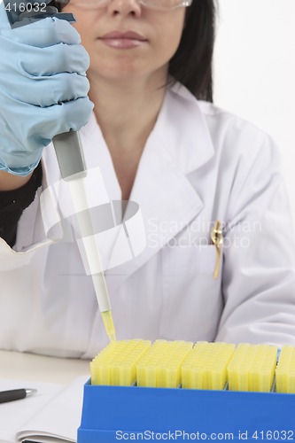 Image of Scientist using pipette