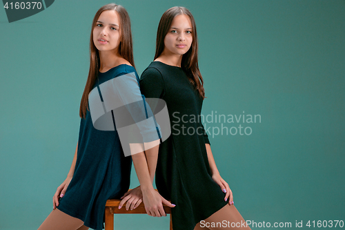 Image of Portrait of two beautiful twin young women