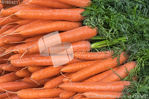 Image of Carrots