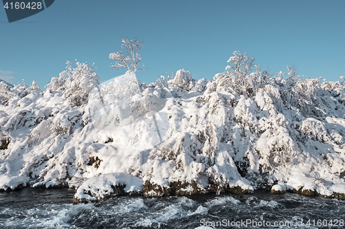 Image of Winter landscape