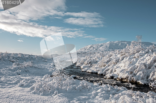 Image of Winter landscape