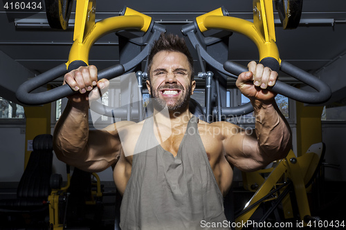 Image of handsome bearded bodybuilding man