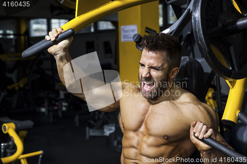 Image of handsome bearded bodybuilding man