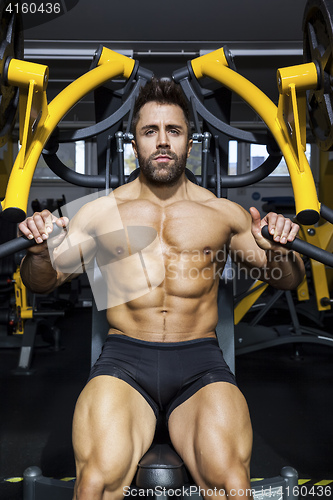 Image of handsome bearded bodybuilding man