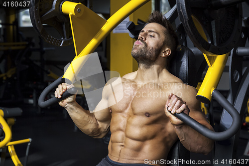 Image of handsome bearded bodybuilding man