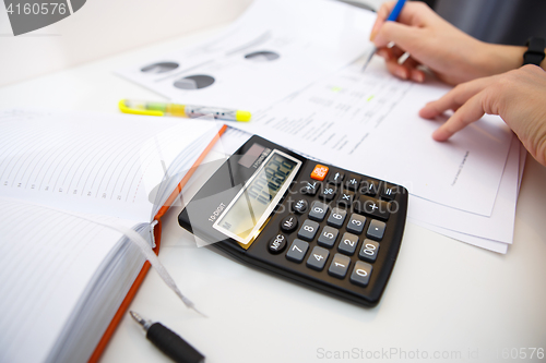 Image of Accountant at table with papers