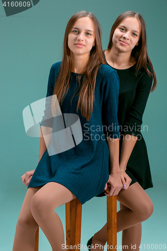 Image of Portrait of two beautiful twin young women