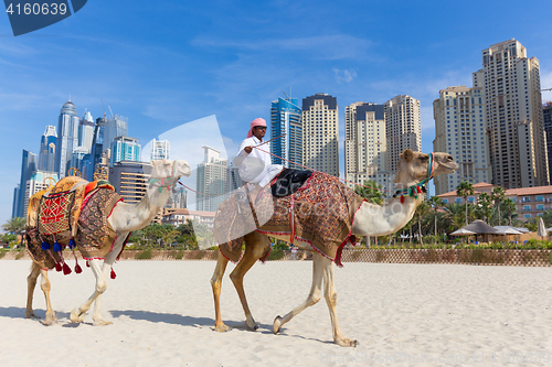 Image of Man offering camel ride on Jumeirah beach, Dubai, United Arab Emirates.