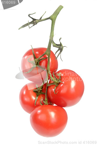 Image of Tomatoes