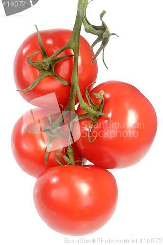 Image of Vine Tomatoes