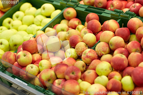 Image of ripe apples at grocery store or market