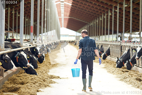 Image of man with bucket walking in cowshed on dairy farm