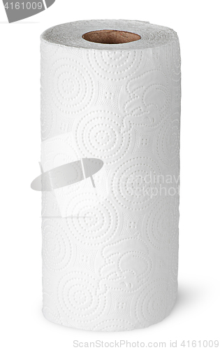 Image of Roll paper towels on the bushing vertically
