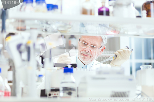 Image of Life scientist researching in the laboratory.