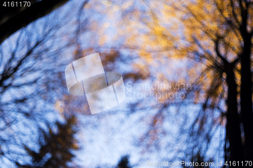 Image of Autumn forest, abstract background