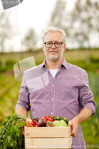 Image of senior man with box of vegetables on farm