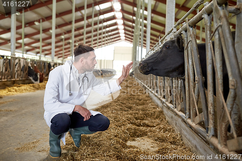 Image of veterinarian with cows in cowshed on dairy farm