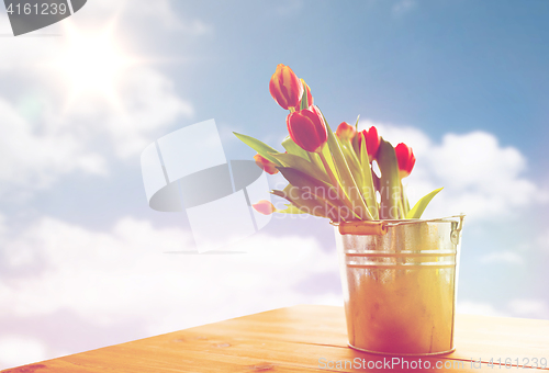 Image of close up of tulip flowers in tin bucket on table