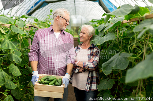 Image of senior couple with box of cucumbers on farm