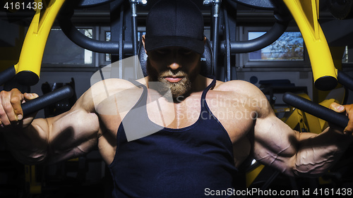 Image of handsome bearded bodybuilding man