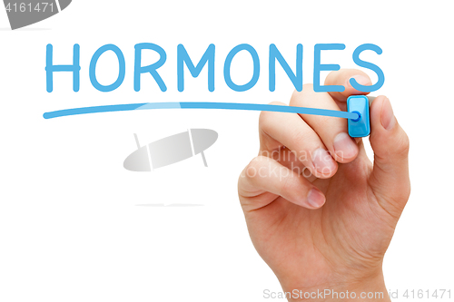 Image of Hormones Handwritten With Blue Marker