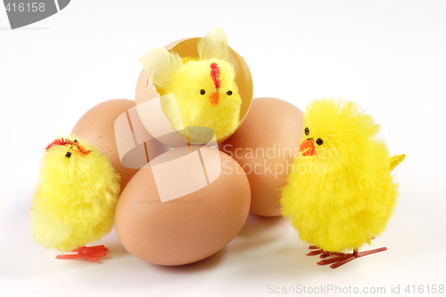 Image of Toy Chicken