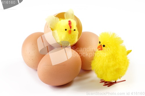 Image of Yellow chicken