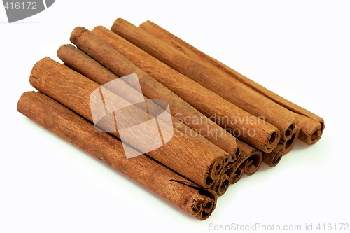 Image of Cinnamon