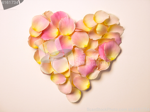 Image of rose petals heart shape