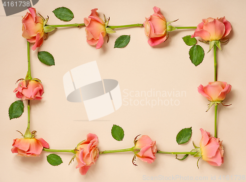 Image of frame of pink roses