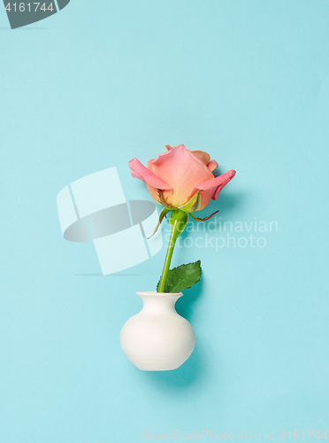 Image of pink rose in white vase on blue background