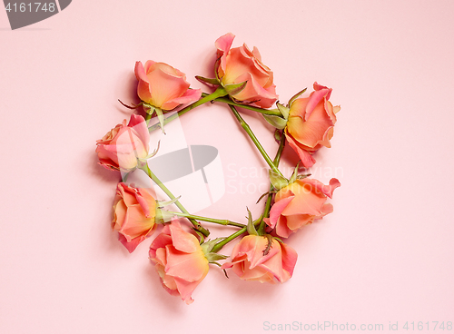 Image of pink roses on pink background