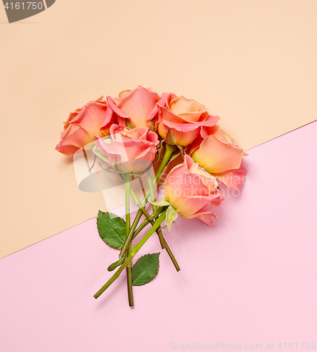 Image of bouquet of pink roses