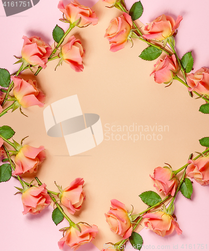 Image of frame of pink roses