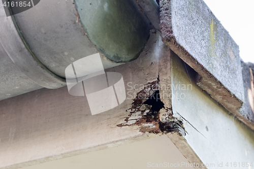 Image of Rotten wood on top of house