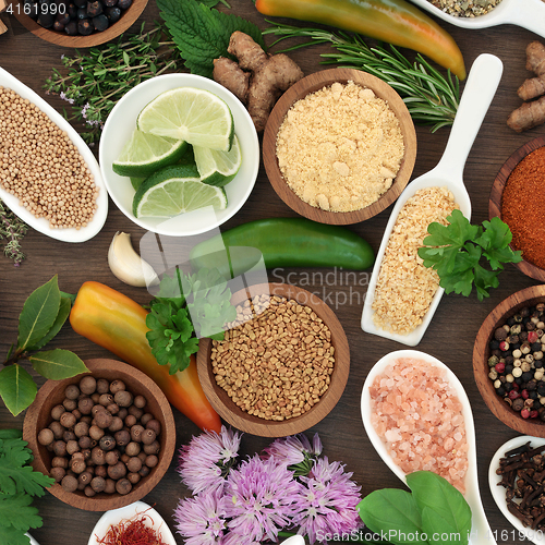 Image of Culinary Herb and Spice Selection