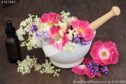 Image of Healing Flowers and Herbs