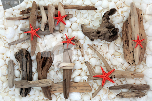 Image of Starfish Driftwood and Seashells