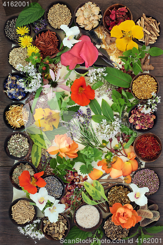 Image of Flowers and Herbs for Natural  Healing