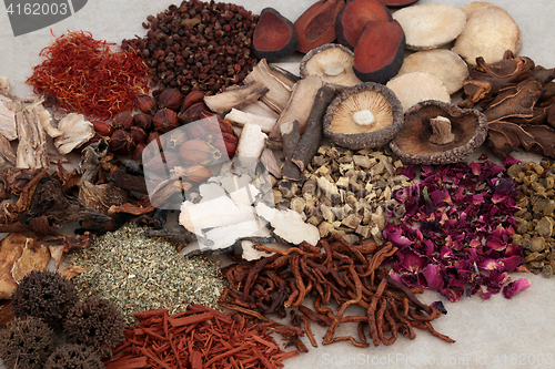 Image of Traditional Chinese Herbs