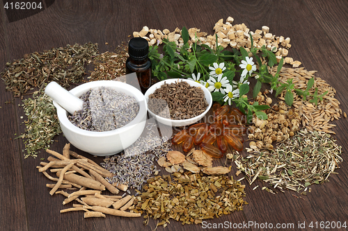 Image of Alternative Medicine for Sleeping Disorders