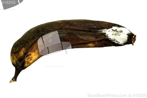 Image of Mouldy Banana