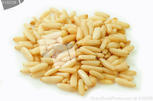 Image of Pine nut