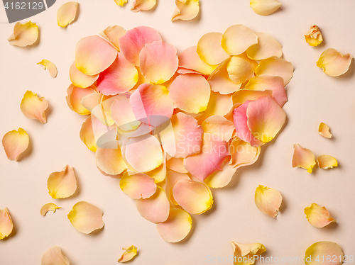 Image of pink rose petals on beige paper background